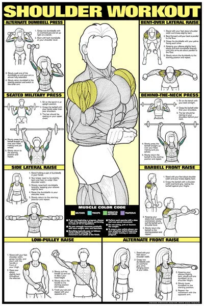 CO-ED Shoulder Workout Professional Fitness Gym Wall Chart Poster - Fitnus Posters