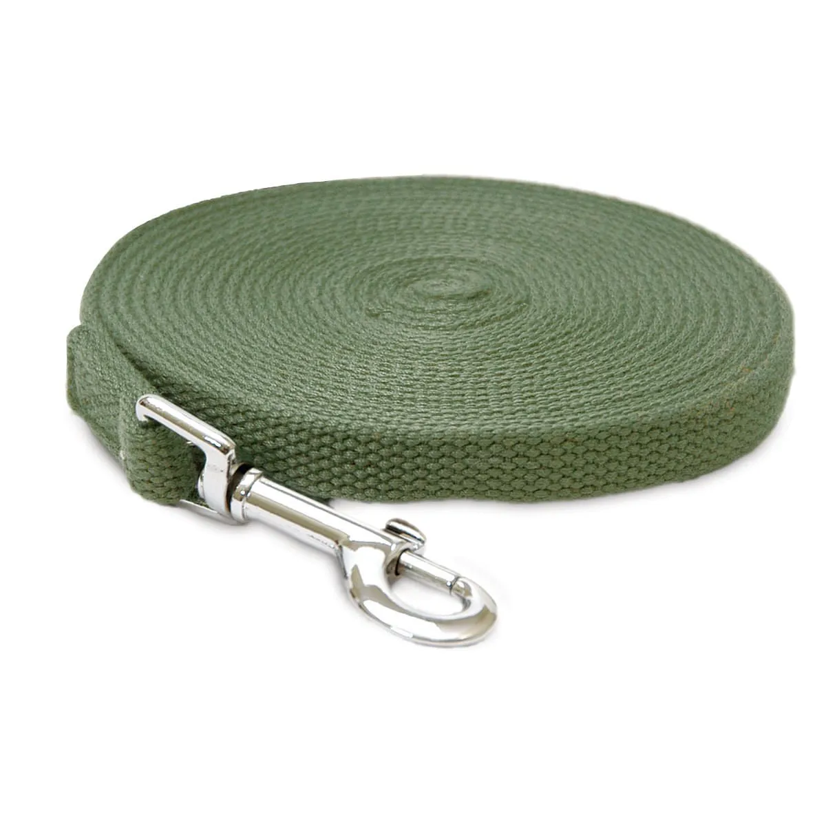 Coastal Pet Cotton Web Dog Training Lead, 30'