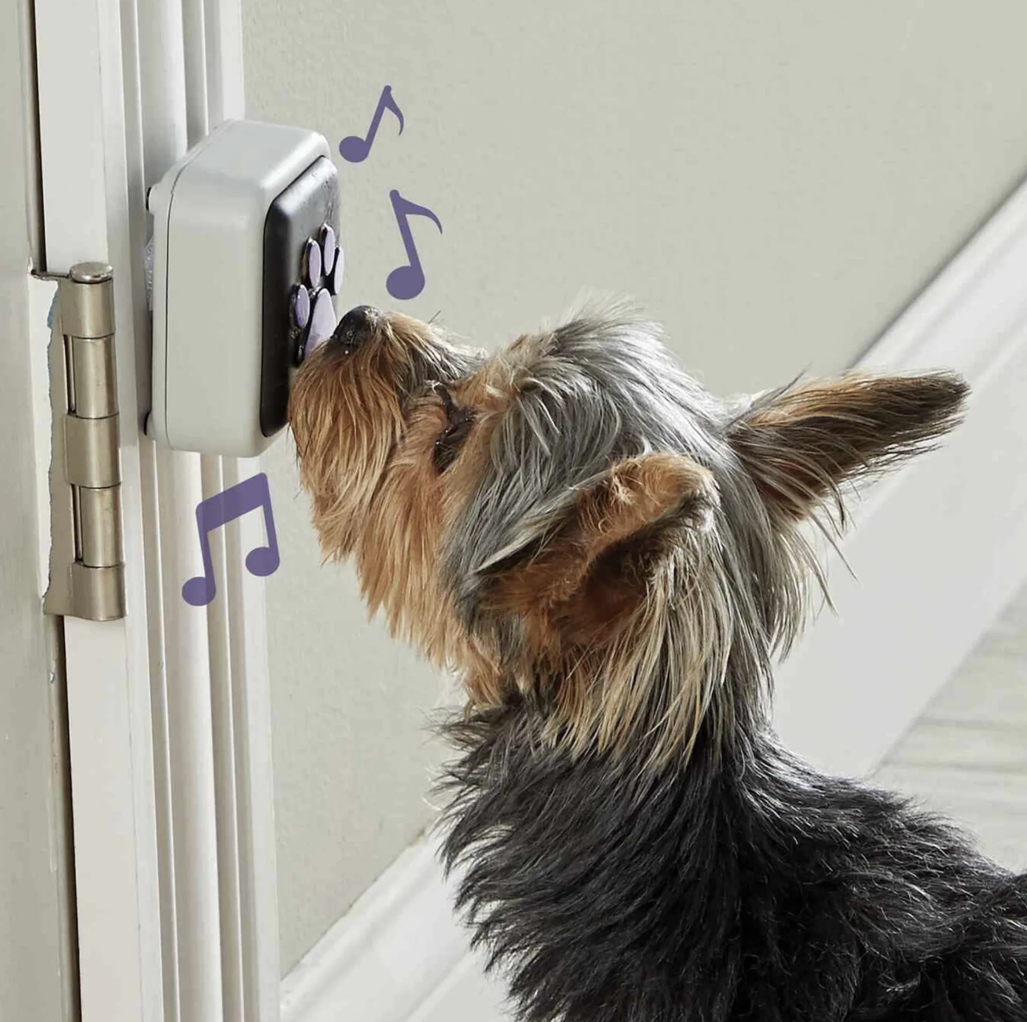 Hunger For Words Talking Pet Door Bell