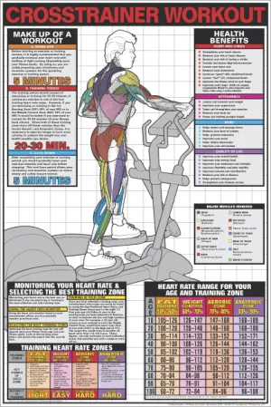 Men's Elliptical Cross Trainer Workout Cardio Instructional Wall Chart Poster - Fitnus Corp.