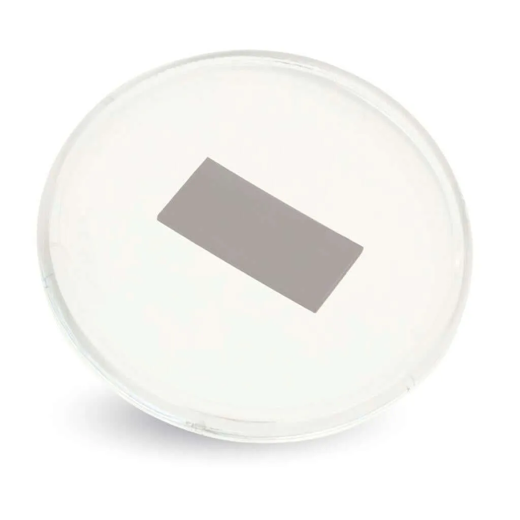 Round Blank Plastic Fridge Magnet Insert - 80mm - Pack of 10