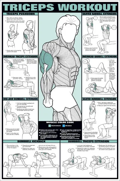 Triceps Workout Arm Fitness Professional Instructional Wall Chart Poster - Fitnus Corp.